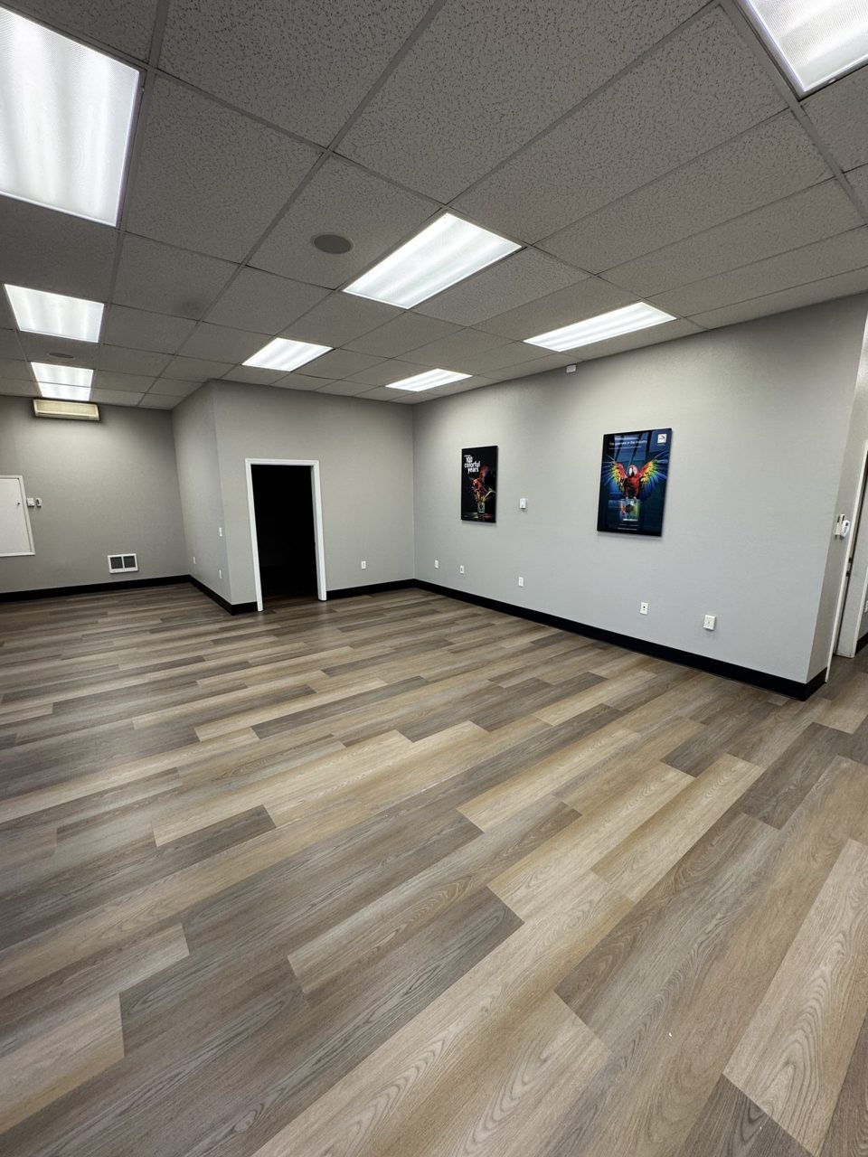 Large completed interior with newly installed plank flooring